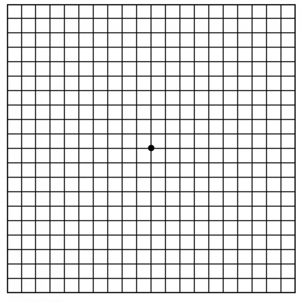 Magnetic Modified Amsler Grid